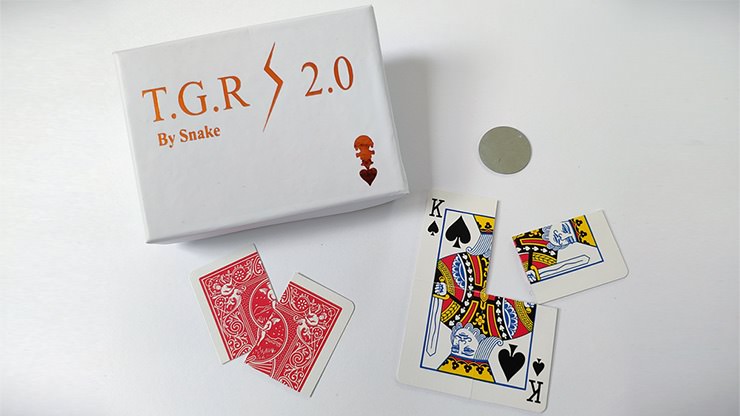 Together 2.0 by Snake