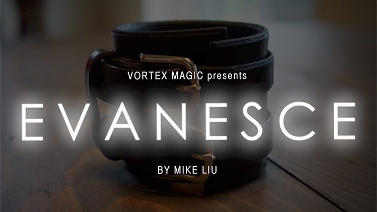 Evanesce by Mike Liu